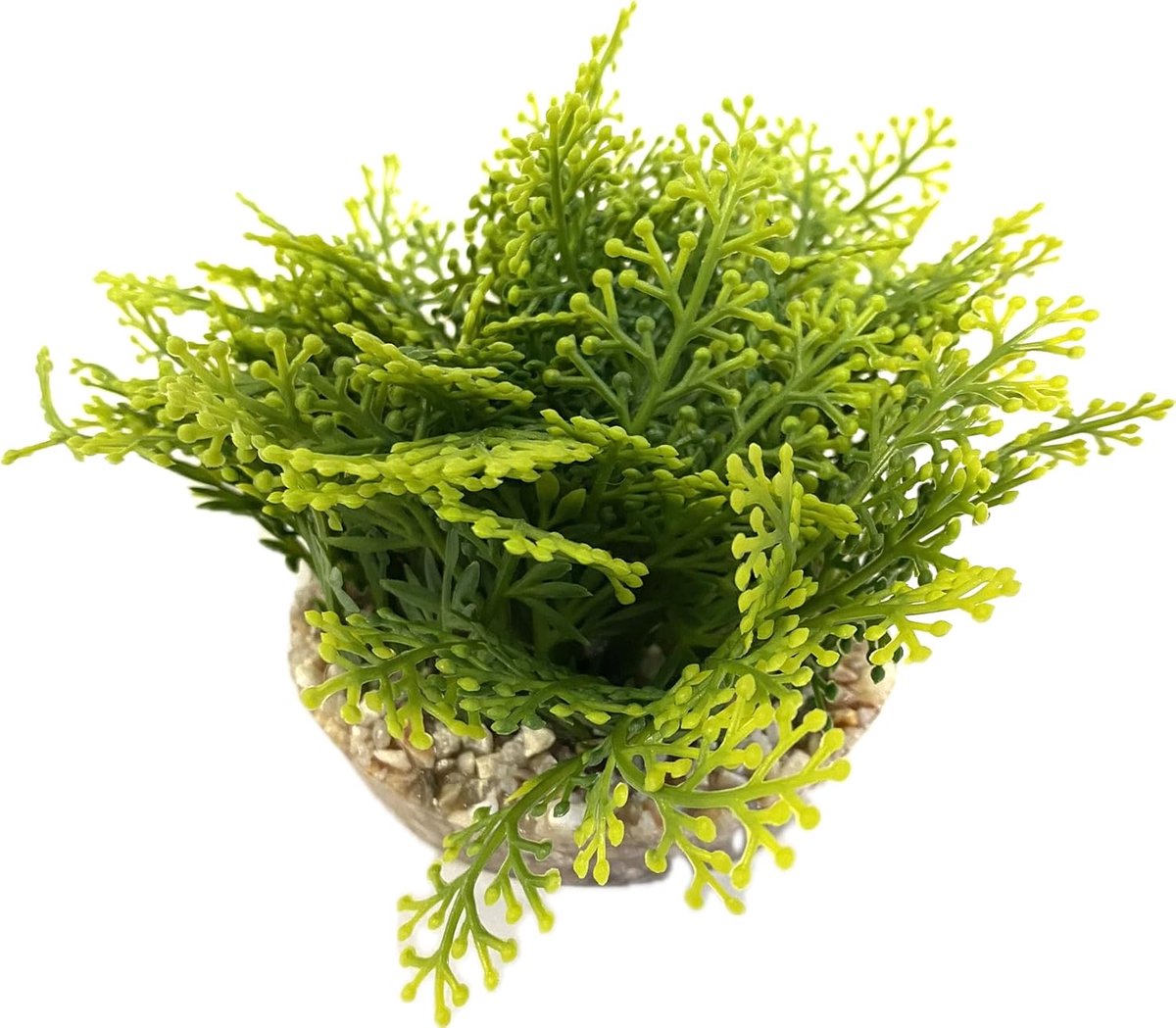 - Kunstmatige aquariumplant XL 20 cm - Decoratie voor aquarium - Kamerplant van kunststof op sokkel - Groene schuimmat - Eenvoudige verankering op de bodem van het aquarium - Gemaakt in