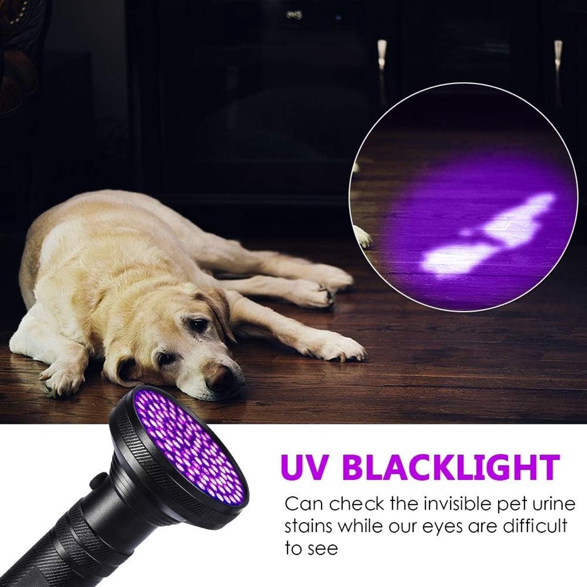 UV Zaklamp,UV-Blacklight Zaklamp UV Handheld Detectie Torch Voor Huisdier Urine Bed Bugs Verifying Geld Documenten met UV-Beschermende Glazen