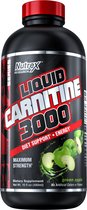 Liquid Carnitine 3000 (480ml) Green Apple
