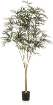 Kunstplant Schefflera 195 cm