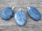 Edelsteen Fossiel blauwe Koraal amulet hanger