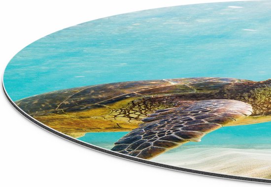 Artaza Dibond Muurcirkel Schildpad Zwemt in de Helder Blauwe Zee - Ø 90 cm - Groot - Wandcirkel - Rond Schilderij - Voor Binnen en Buiten