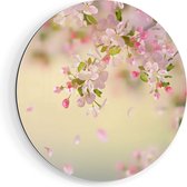 Artaza Dibond Cercle Mural Fleur de Pommier - Fleurs - Ø 90 cm - Groot - Cercle Mural - Tableau Rond - Pour Intérieur et Extérieur