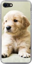 Geschikt voor iPhone SE 2020 hoesje - Golden Retriever puppy liggend op de bank - Siliconen Telefoonhoesje
