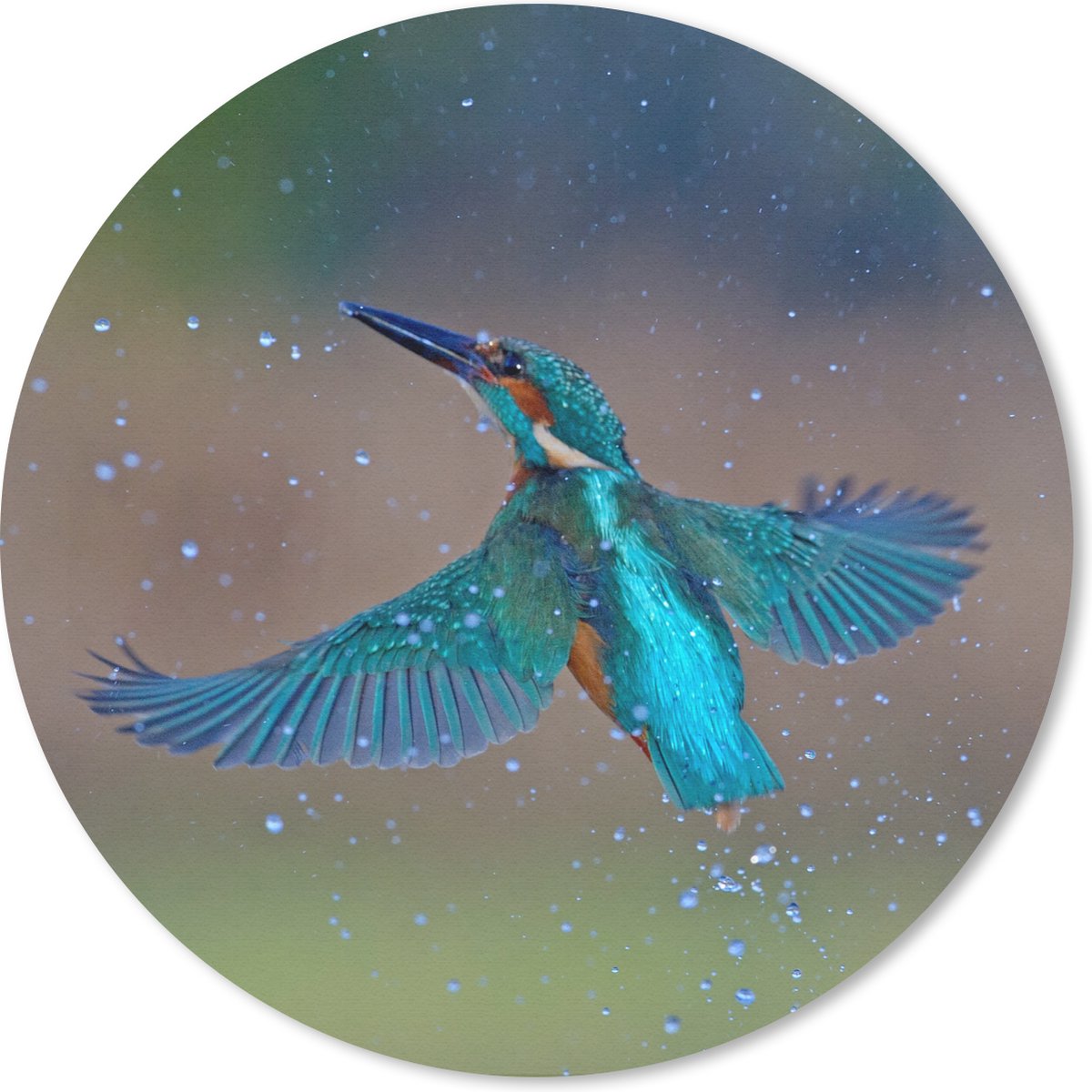 Muismat rond 20x20 cm - Mousepad IJsvogel - Vliegen - Blauw - Ronde muismatten