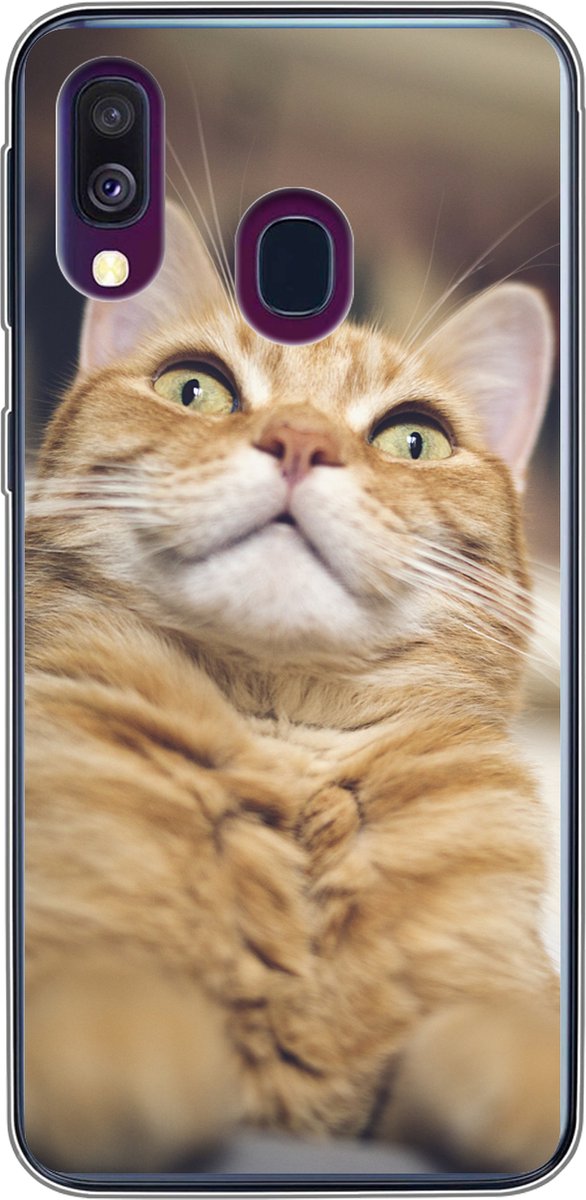 Telefoonhoesje Geschikt voor Samsung Galaxy A40 hoesje - Kat - Bank - Oranje - Siliconen Telefoonhoesje Telefoonhoesje