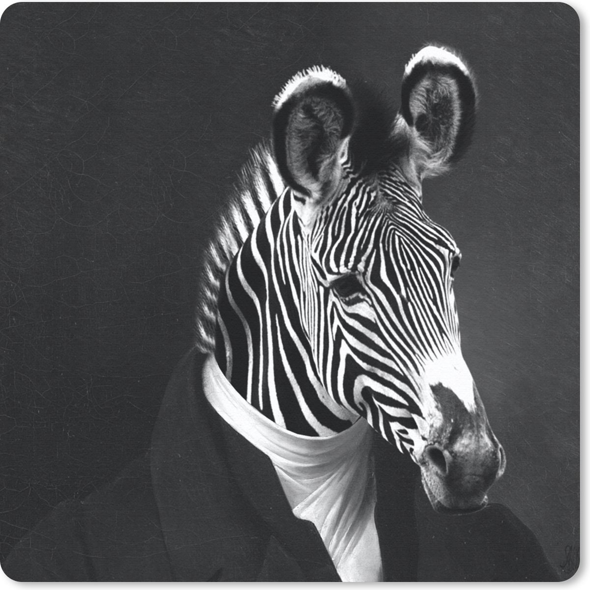 Muismat 30x30 cm - Mousepad Schilderij - Zebra - Zwart - Wit - Muismatten