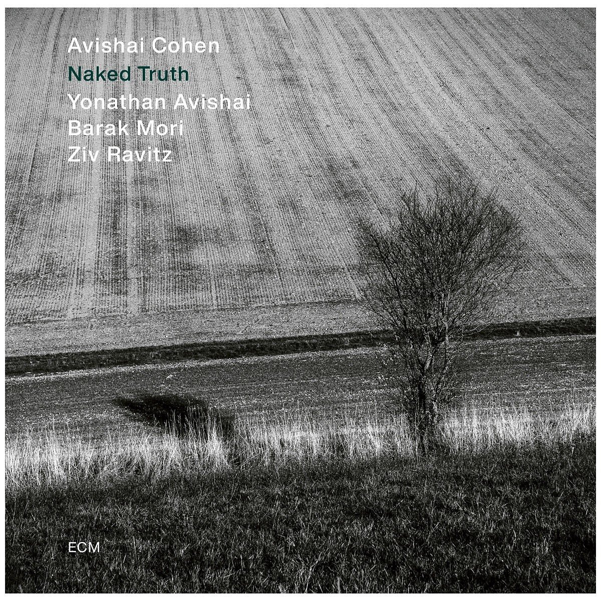 Avishai E. Cohen, Yonathan Avishai, Barak Mori, Ziv Ravitz - Naked Truth (CD)