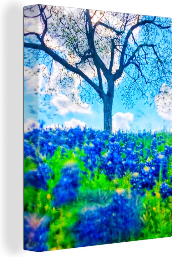 Canvas Schilderij Close-up van Texas Bluebonnet bloemen - 90x120 cm - Wanddecoratie