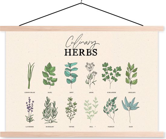 Affiche scolaire - Cuisine - Plantes - Herbes - 120x80 cm - Lattes vierges - Cadeau pour femme