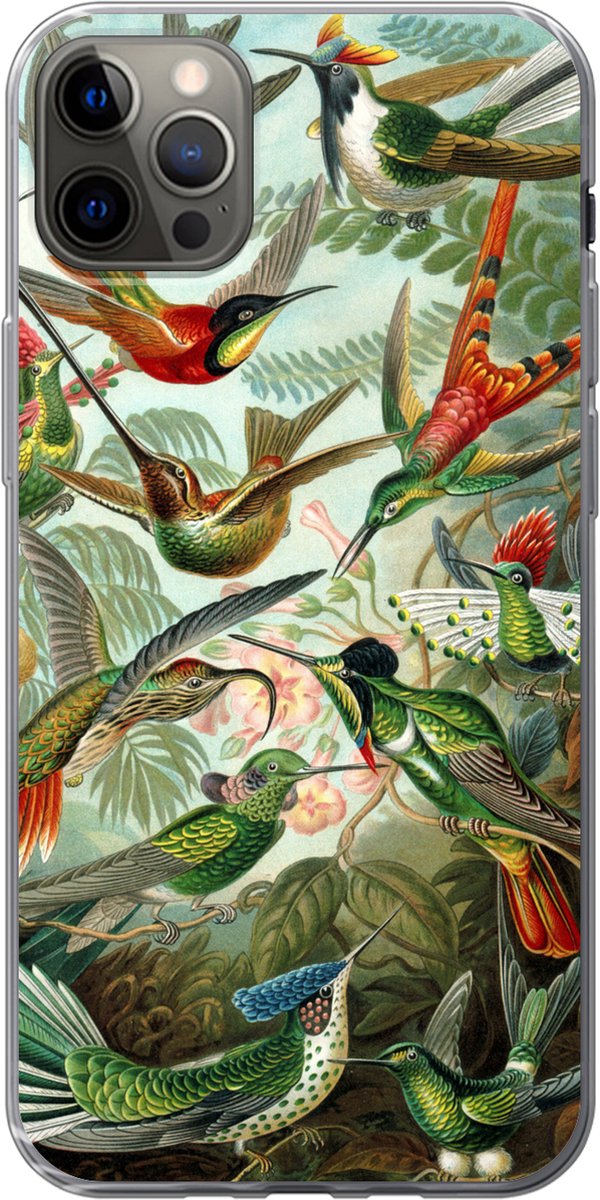 Telefoonhoesje Geschikt voor iPhone 13 Pro Max hoesje - Trochilidae - Oude meesters - Kunst - Siliconen Telefoonhoesje Telefoonhoesje