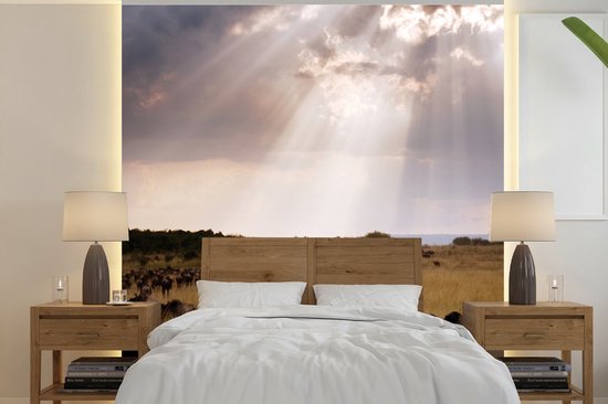 Behang - Fotobehang Zonnestralen bij onweerswolken bij Masai Mara National Park in Kenia - Breedte 260 cm x hoogte 260 cm