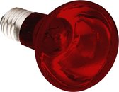 Komodo Infrarood Warmtelamp - ES 150 Watt