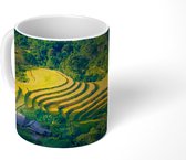 Mok - Rijst - Vietnam - Groen - 350 ML - Beker - Uitdeelcadeautjes