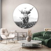 Artistic Lab Poster - Muurcirkel Light Highlander Round Plexiglas - Multicolor