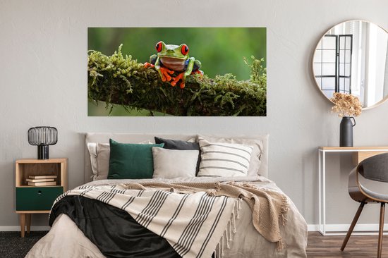 Poster Grenouille aux yeux rouges sur une branche couverte - 160x80 cm