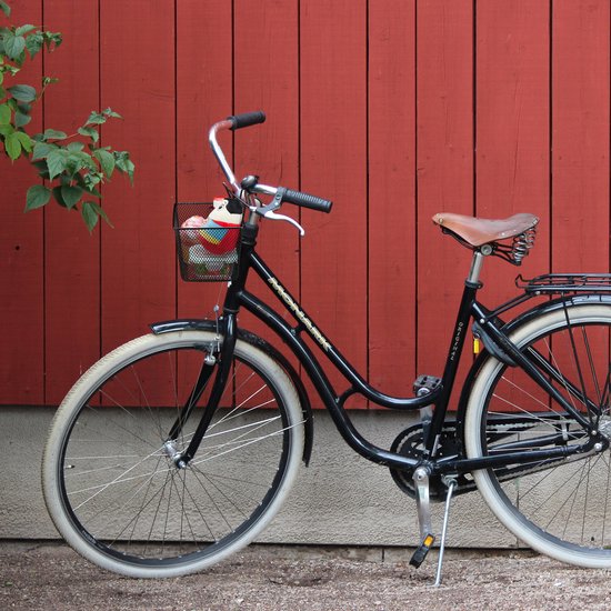 Guarda la ropa Resplandor guapo de naaf van een fiets cemento suerte Turbina