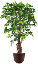 HTT - Kunstplant Ficus in Eggy bruin H130 cm