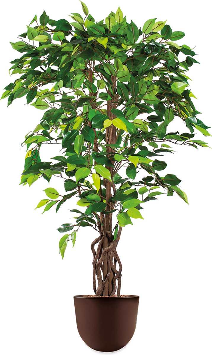 HTT Decorations HTT - Kunstplant Ficus in Eggy bruin H130 cm