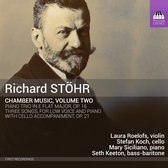 Laura Roelofs, Seth Keeton, Stefan Koch & Mary Siciliano - Chamber Music, Volume Two (CD)