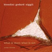 Luciano Biondini, Michel Godard, Lucas Niggli - What Is There What Is Not (CD)