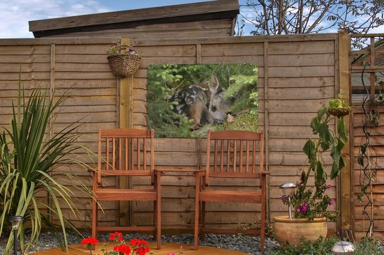 Décoration de jardin Cerf endormi - 60x40 cm - Affiche de jardin - Toile de jardin