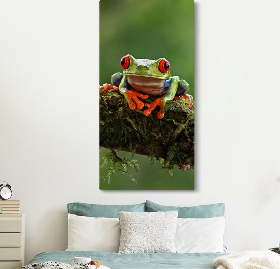 Peinture sur toile Grenouille aux yeux rouges sur une branche couverte - 80x160 cm - Décoration murale
