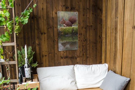 Affiche de jardin Animaux de la forêt - Water - Mousse - 40x80 cm