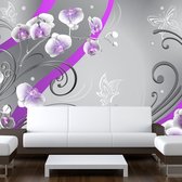 Fotobehang - Purple orchids - variation.