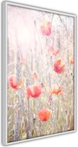 Poppies.
