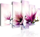 Schilderij - Pink flowers: magnolias.