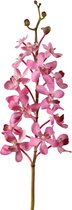 Viv! Home Luxuries Orchidee Vanda - zijden bloem - paars roze - 70cm