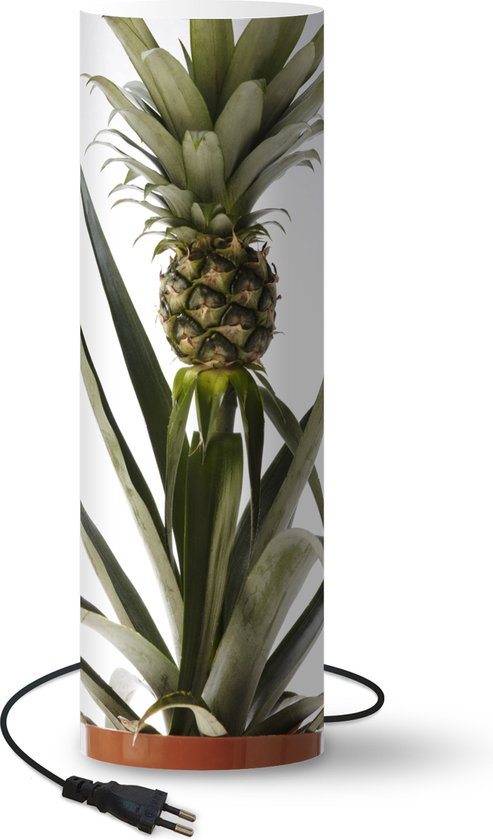 LED Metall String Licht, DINOWIN 20 LED Ananas Geformt Batteriebetriebene Festival Licht Für Party Geburtstag Hochzeit Schlafzimmer Outdoor Indoor Dekorationen (Ananas