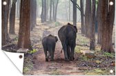 Tuindecoratie Olifant - Kalf - Bos - 60x40 cm - Tuinposter - Tuindoek - Buitenposter