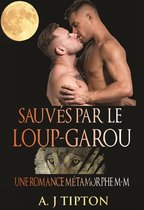 Loups-Garous de Singer Valley 4 - Sauvés par le Loup-Garou: Une Romance Métamorphe M-M