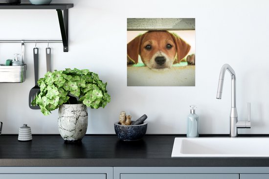 Poster Un chiot regarde à travers une clôture - 30x30 cm