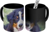 Magische Mok - Foto op Warmte Mok - Berner Sennenhond op het groene gras - 350 ML