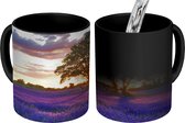 Magische Mok - Foto op Warmte Mok - Lavendelvelden in Engeland tijdens zonsondergang - 350 ML