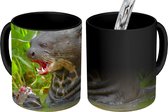 Magische Mok - Foto op Warmte Mokken - Koffiemok - Grote otter eet - Magic Mok - Beker - 350 ML - Theemok