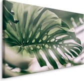 Schilderij - Close up Monstera Blad, Groen, Premium Print