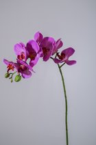 Kunstbloem - set van 2  - Phalaenopsis orchidee - decoratieve tak -  70 cm - paars