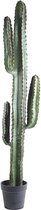 Kunstplant cactus GUADA - Polyester - H145 cm
