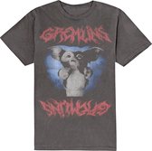 Gremlins Heren Tshirt -S- Gizmo Graphic Zwart