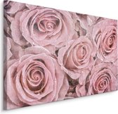 Schilderij - Roze Rozen, Vintage afbeelding, Premium Print op Canvas