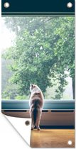 Affiche de clôture Chat - Fenêtre - Plantes - 100x200 cm - Toile de jardin