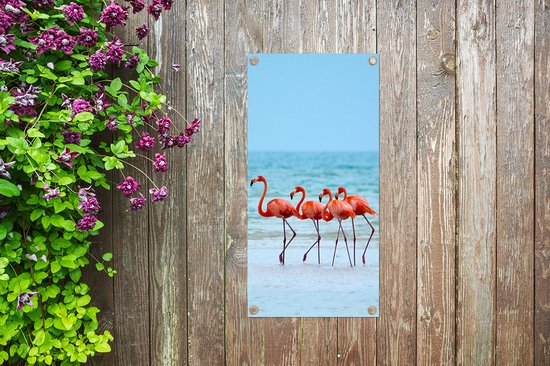 Affiche de jardin Quatre flamants roses marchant dans l'eau - 30x60 cm