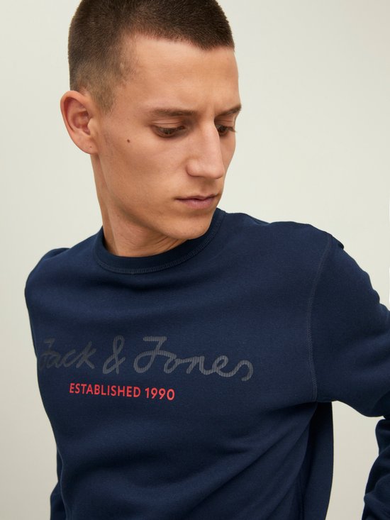 Jack & Jones JORVESTERBRO CREW NECK - Sweatshirt - aloe/grün