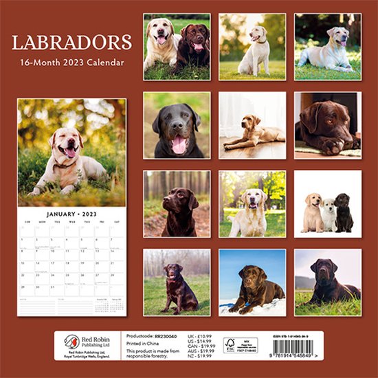 Labrador Retriever Mixed Kalender 2023
