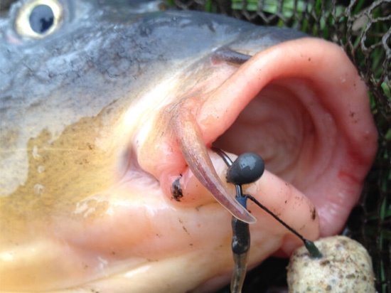 PB Products - Downforce Tungsten - Shot On The Hook Beads - 0,4 gram van PB Products — afbeelding 4