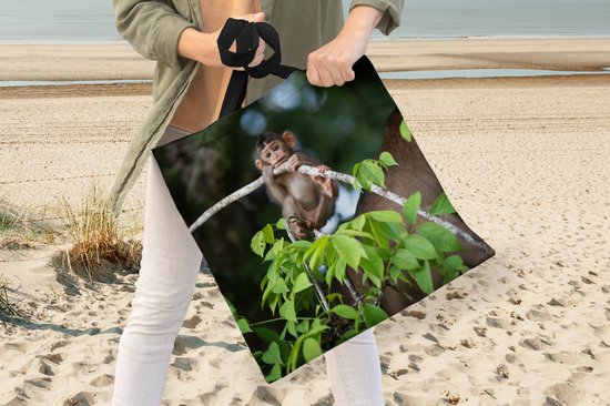 Sac bandoulière - Sac de plage - Shopper Jeune singe accroché à une branche - 40x40 cm - Sac coton